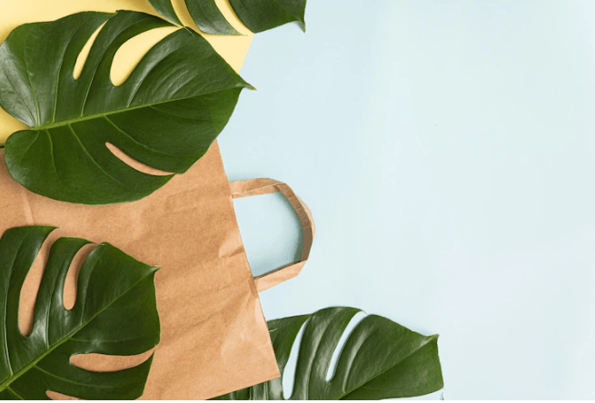 A paper bag with plants.